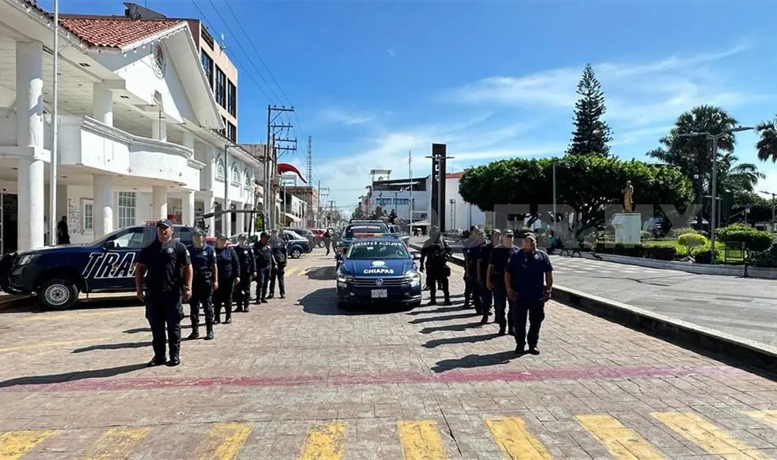 Fuerzas de tarea realizan operativos a pie-tierra