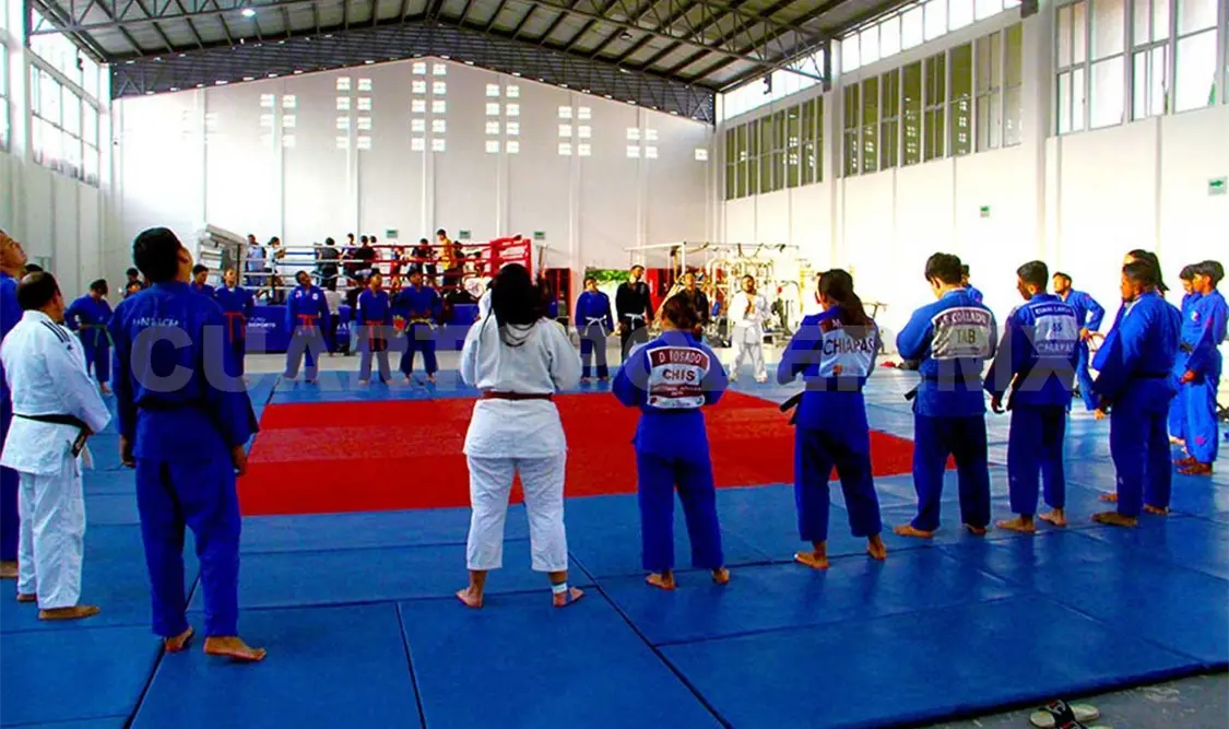 Inician participación en Querétaro