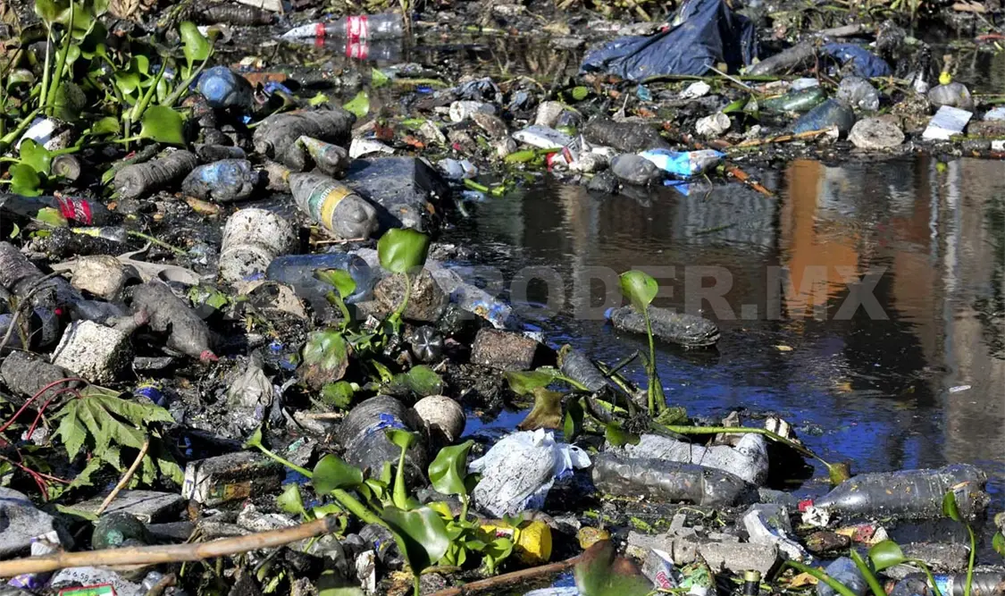 Contaminación por microplásticos cada vez más grave