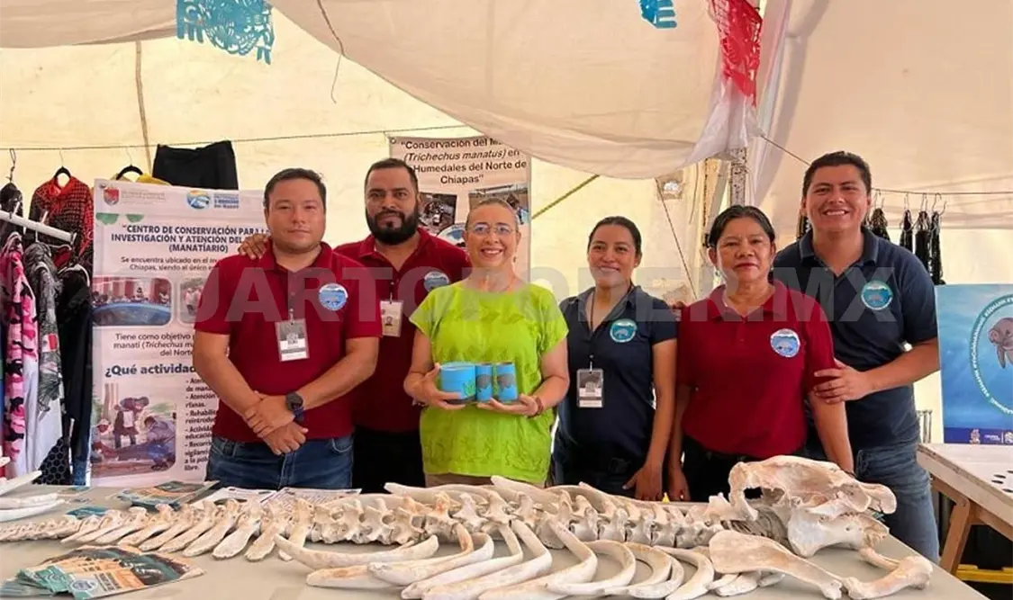 Continúa Chiapas con la conservación del manatí