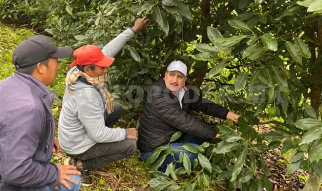 Productores paran labores por violencia en la sierra