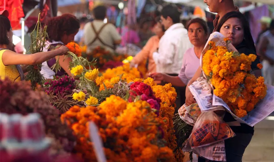 Cuánto cuesta poner una ofrenda en 2023