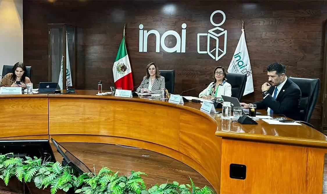 La comisionada presidenta planteó que esta resolución se enmarca en la misma línea de la controversia constitucional. Cortesía