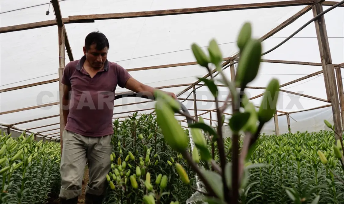 Productores no pueden trasladar mercancía