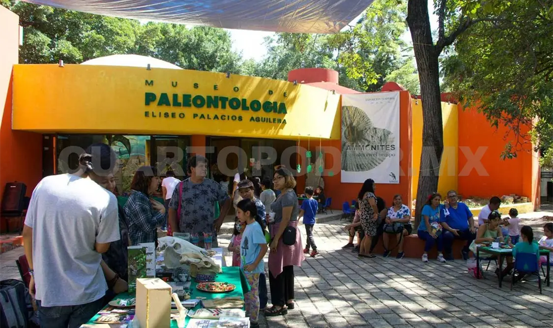 Celebran 21 aniversario del Museo de Paleontología