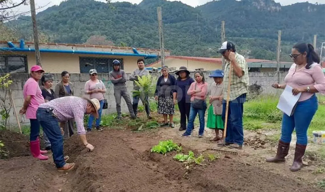 Fortalecen trabajo comunitario en zona sur