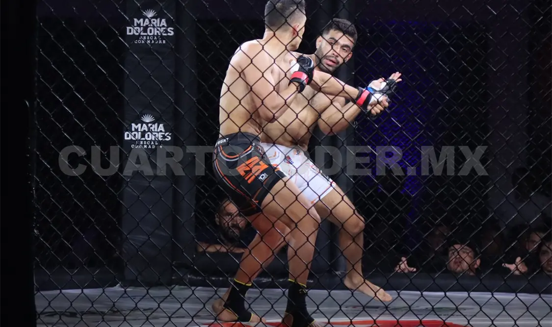 Ragnar, Turco y Demoledor noquean a sus rivales