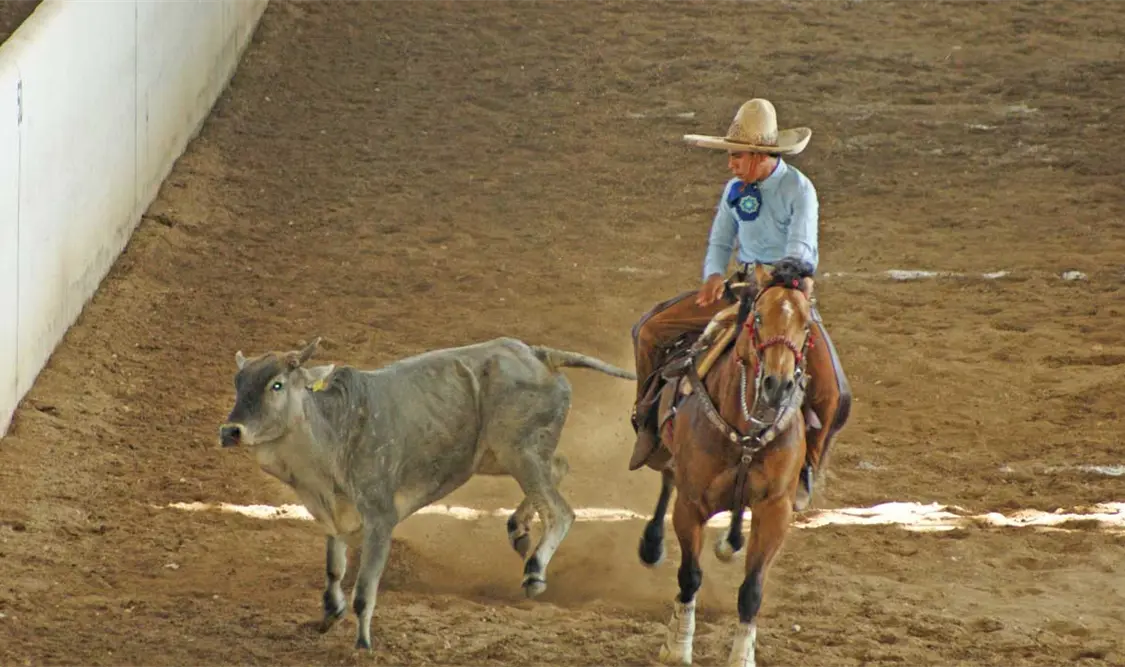 Circuito Millonario AA cierra fase regular