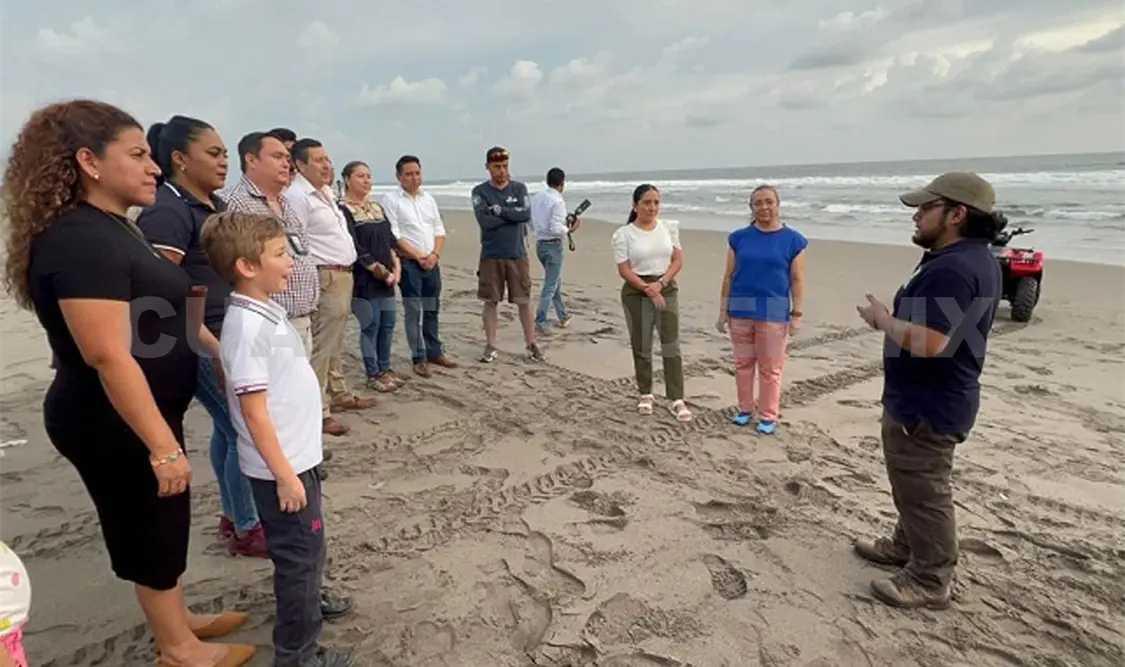 Libera Semahn tortugas golfinas en Puerto Arista