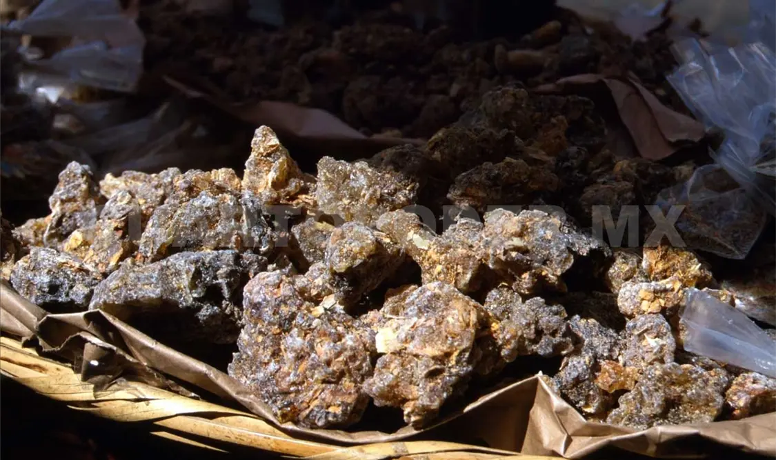 La resina de copal es popularmente utilizada en vísperas del Día de Muertos.Diego Pérez