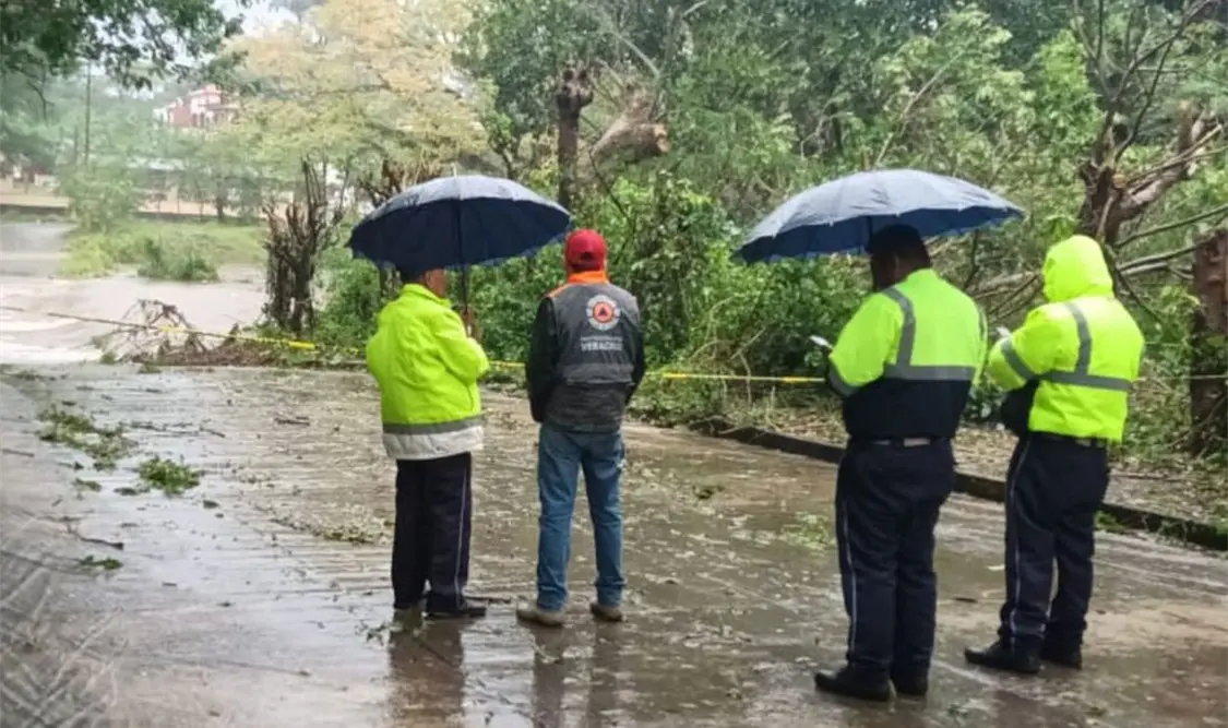 Frente frío número 8 provoca daños