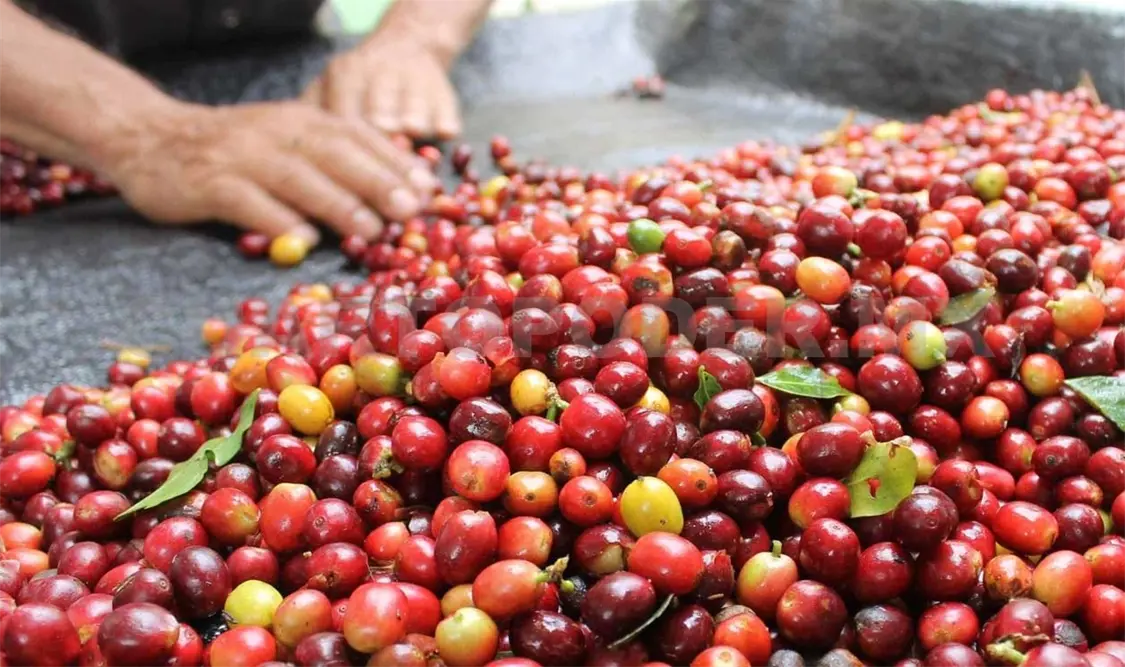 Se capacitó a los pobladores para generar mayor bienestar en sus productos. Carlos López / CP