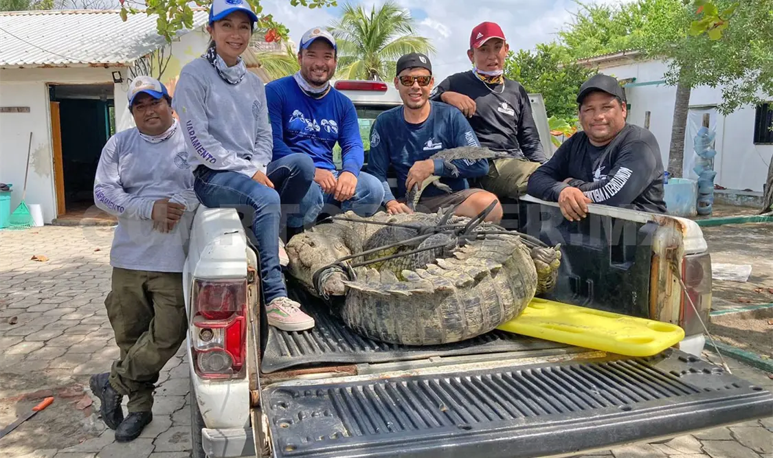 Bebedoko tiene un nuevo hogar