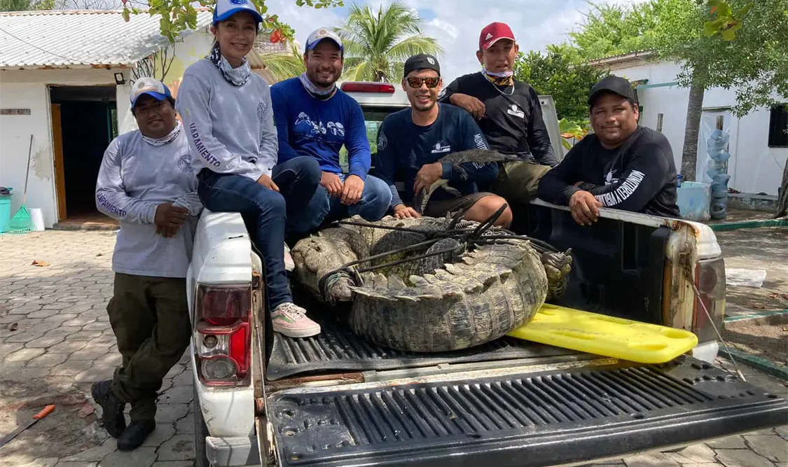“Bebedoko” ya está en el Santuario Playa Puerto Arista