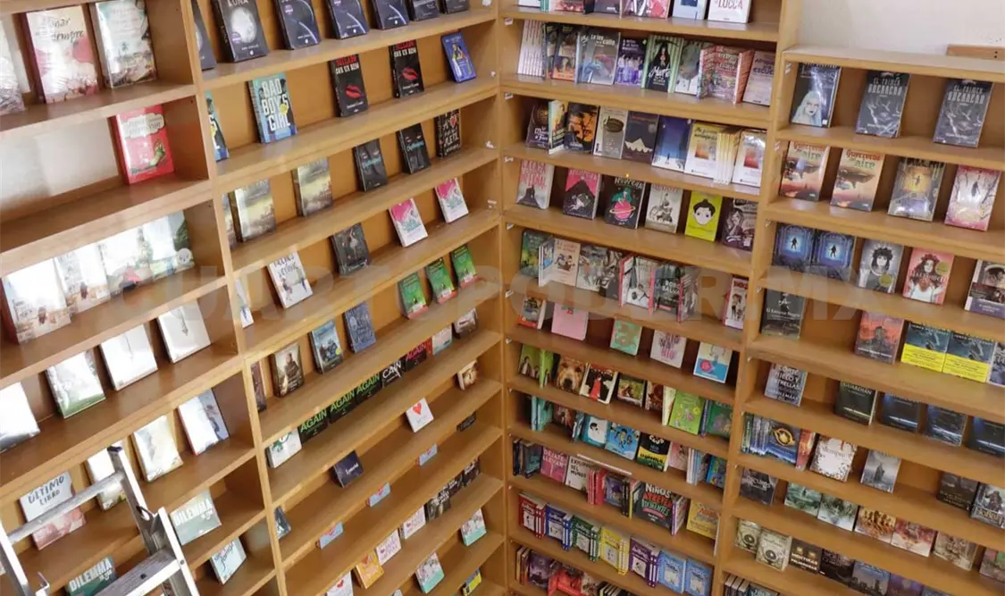 Chiapanecos deberían leer 10 libros al año