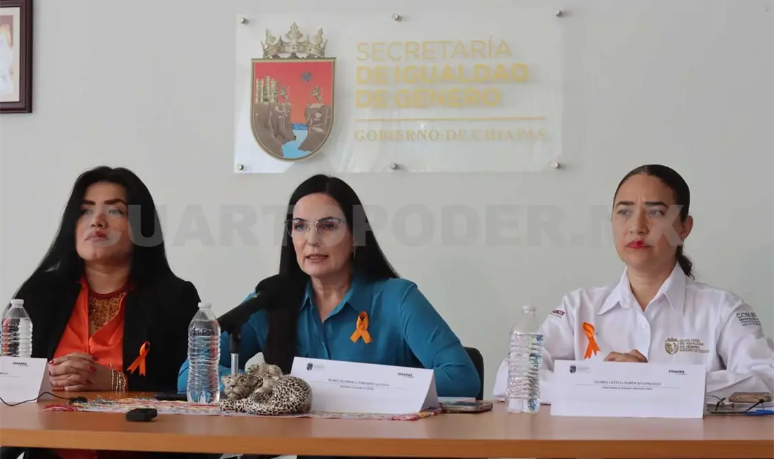 Realizarán 300 actividades en el marco del 25N