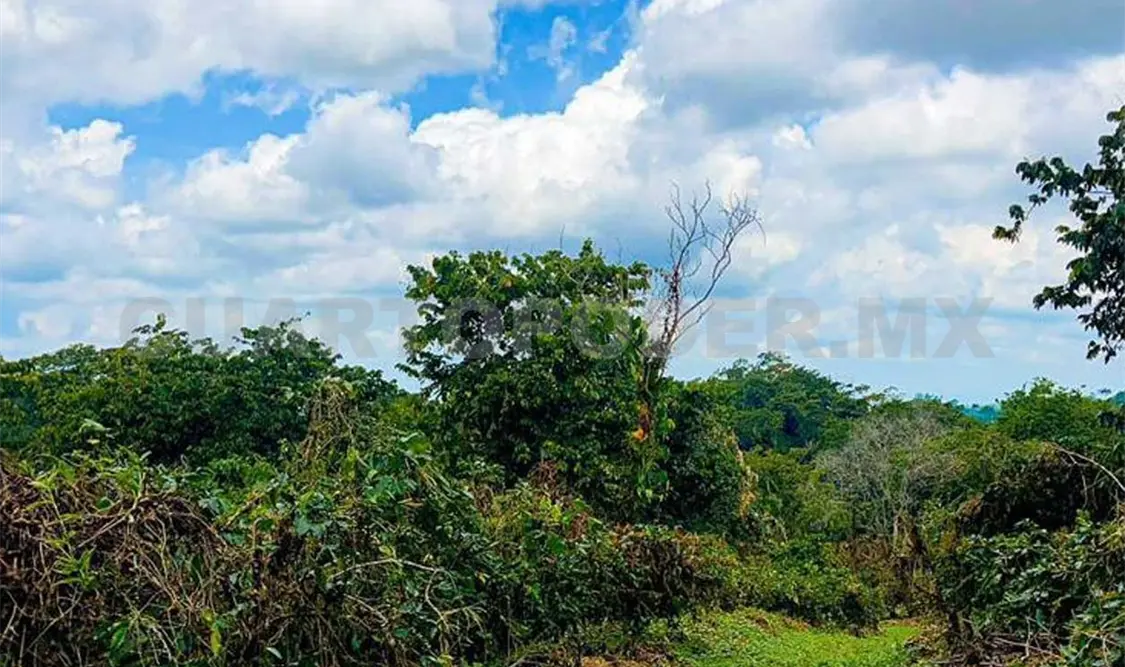 Conflicto entre lugareños por venta de terrenos