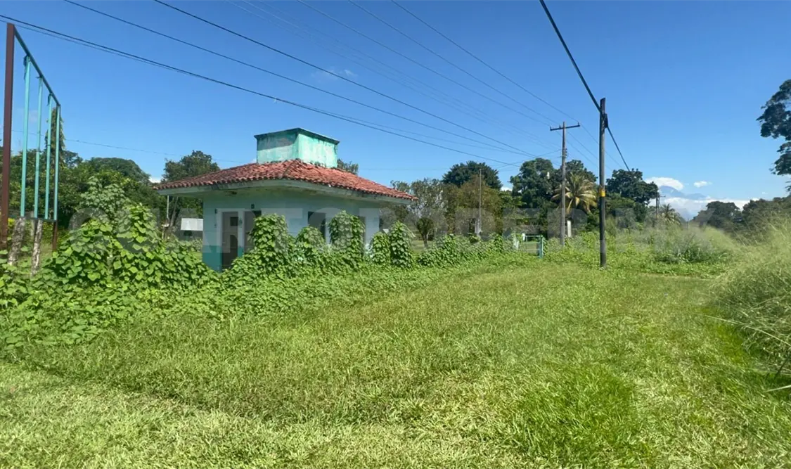 En el abandono Zona Arqueológica de Izapa