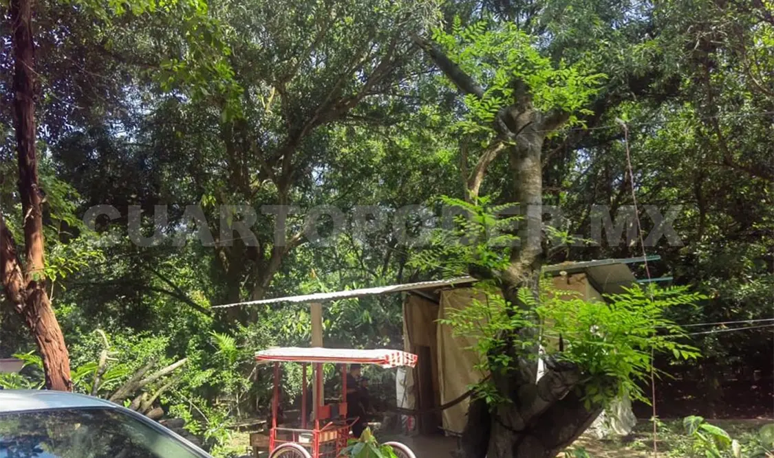 Una persona se ahorca en su domicilio en cantón