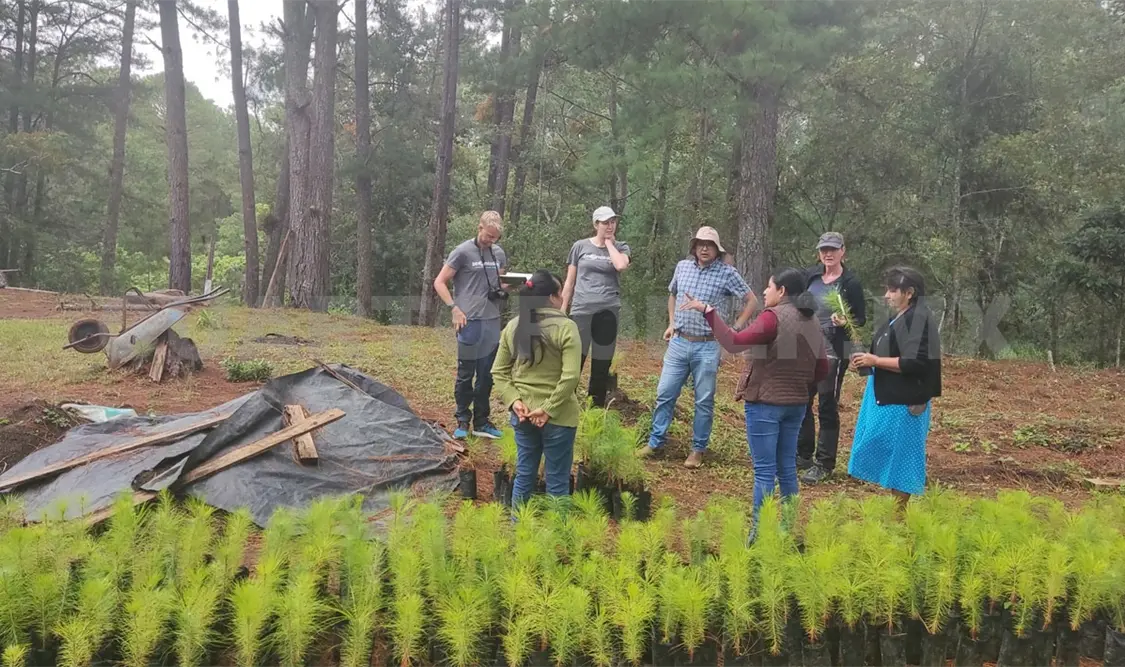 ZeroMission visita trabajos de reforestación en Chiapas