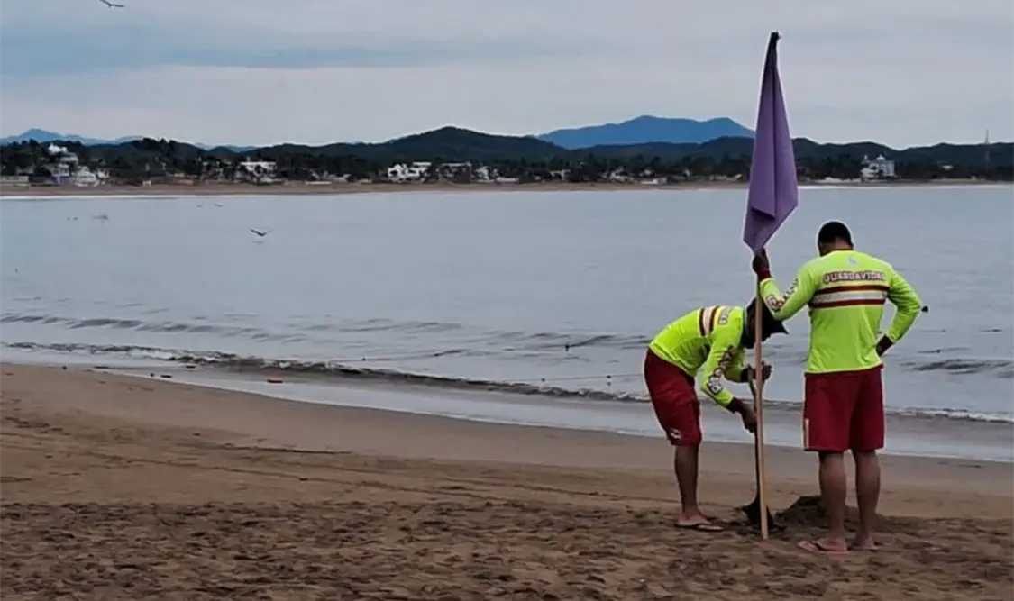Por ataques de tiburón, Jalisco cierra playa