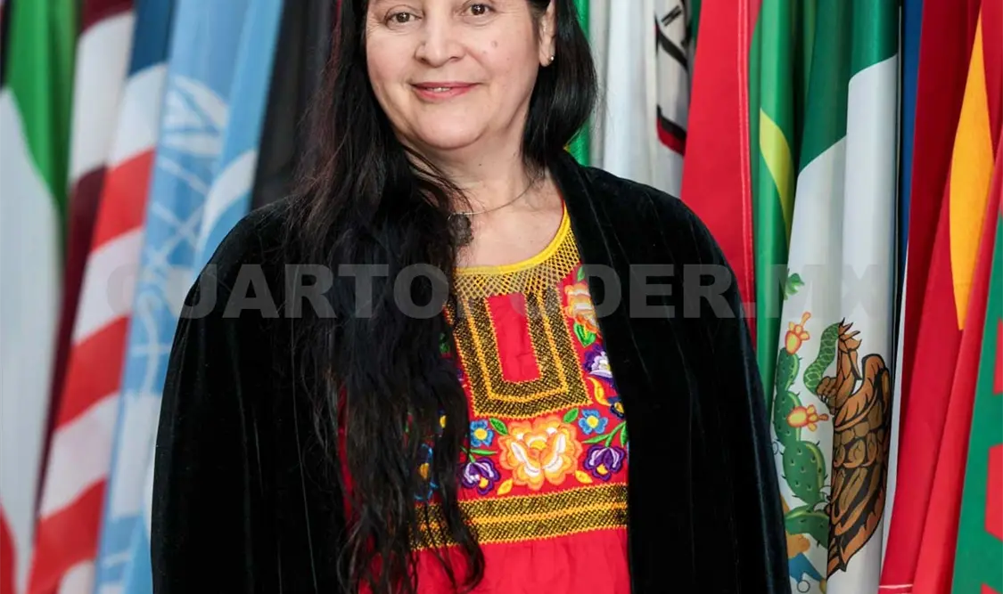 Cecilia Elizondo participa en panel de expertos de la ONU
