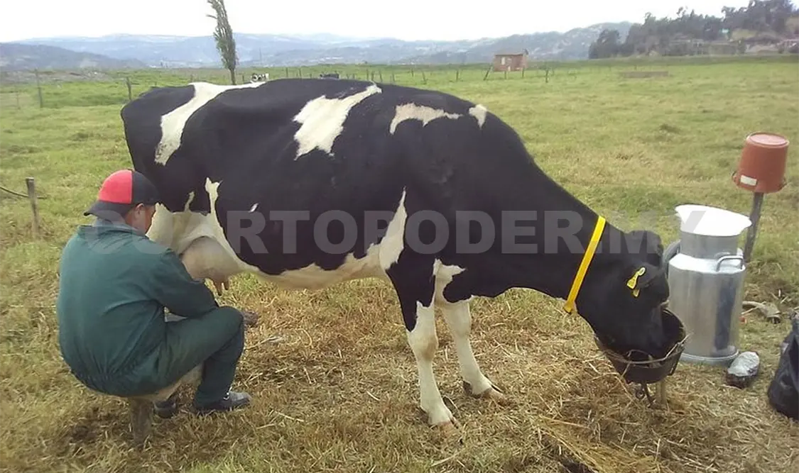 Aumenta el precio del litro de leche