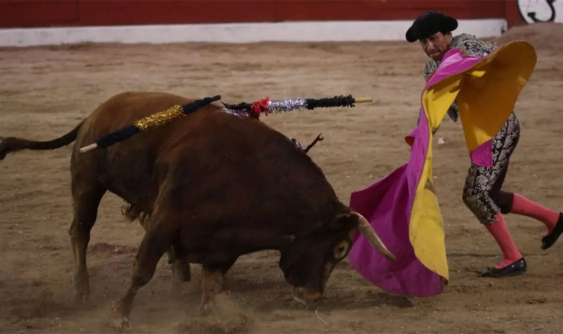 Corridas de toros volverán a Plaza México en CDMX