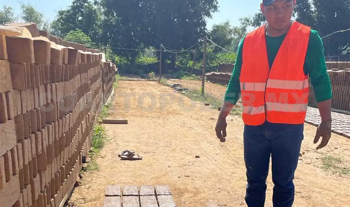 Estudiante fabrica ladrillo con uso de lirio acuático