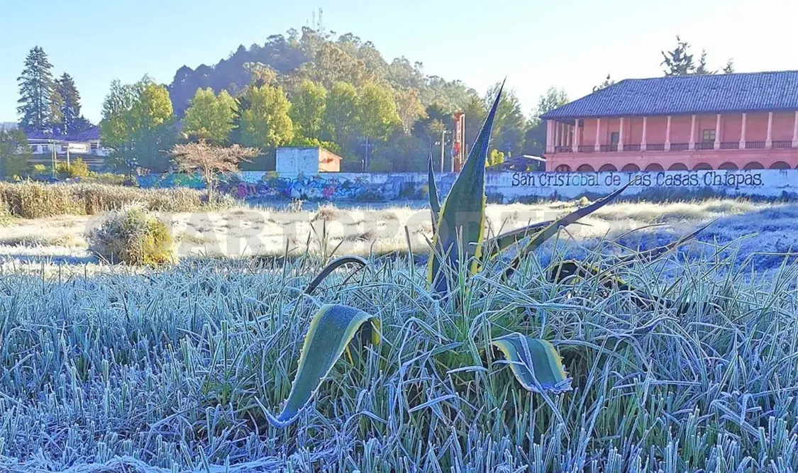 Masa de aire frío generó helada en San Cristóbal