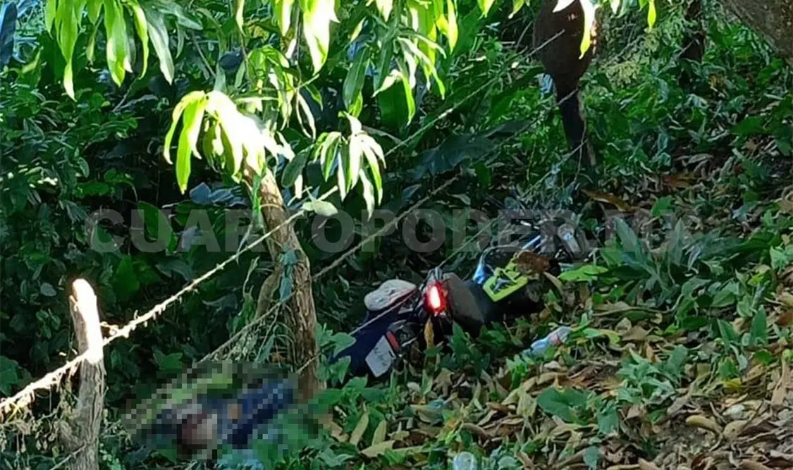 Se sale del camino y muere al impactar contra árbol