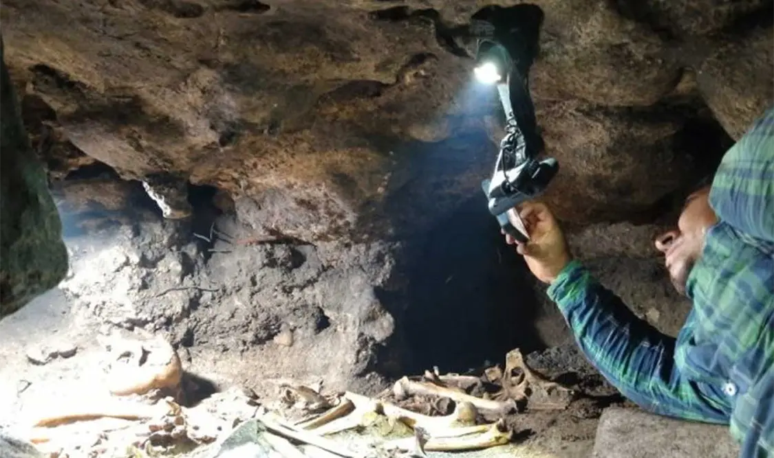José Antonio Reyes Solís informó que en la pared frontal de la cueva se encontró un caracol marino pegado con estuco a la roca madre. Cortesía
