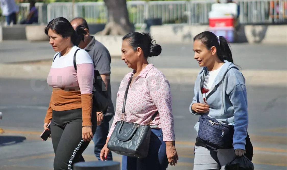 Sorprende el registro histórico de bajas temperaturas