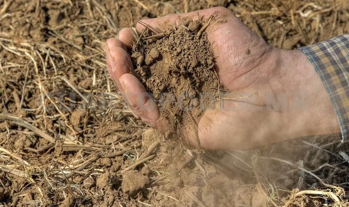 Pese a bajas temperaturas prevalece sequía