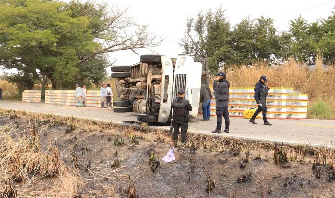 Vuelca camión que transportaba pollos