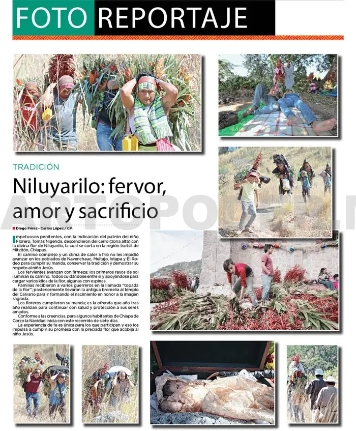Niluyarilo: fervor, amor y sacrificio