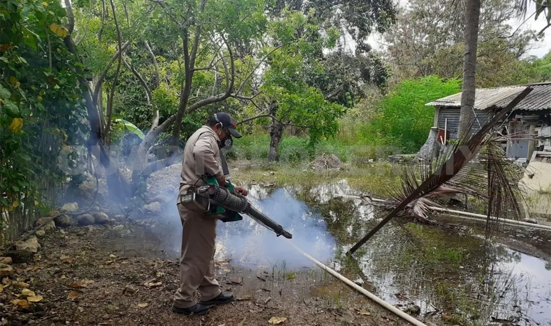 Se eleva a cuatro el número de muertes por dengue