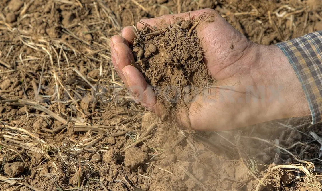 Agricultores estiman su peor cosecha tras 30 años