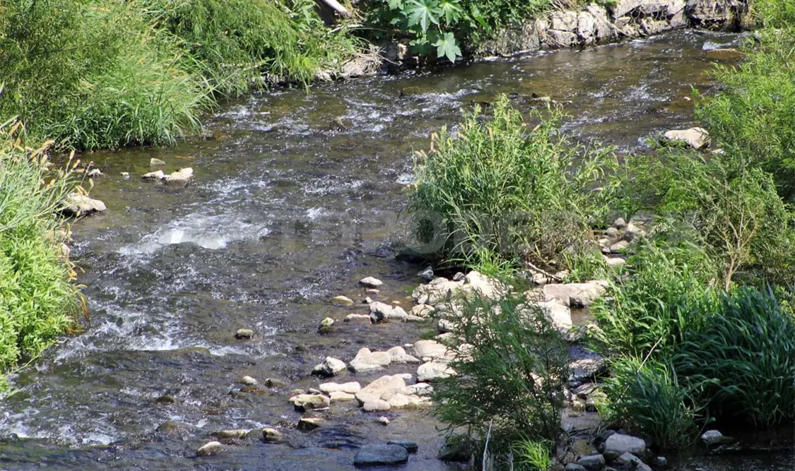 Se atiende la contaminación del agua en distintas partes del estado. Diego Pérez / CP