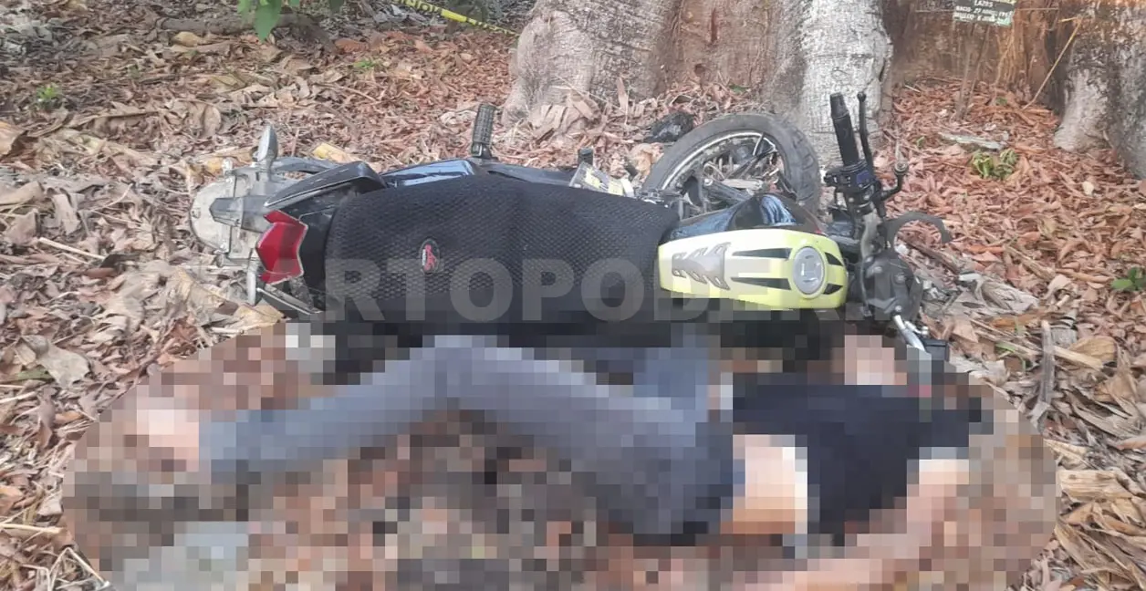 Motociclista fallece tras impactar en una ceiba