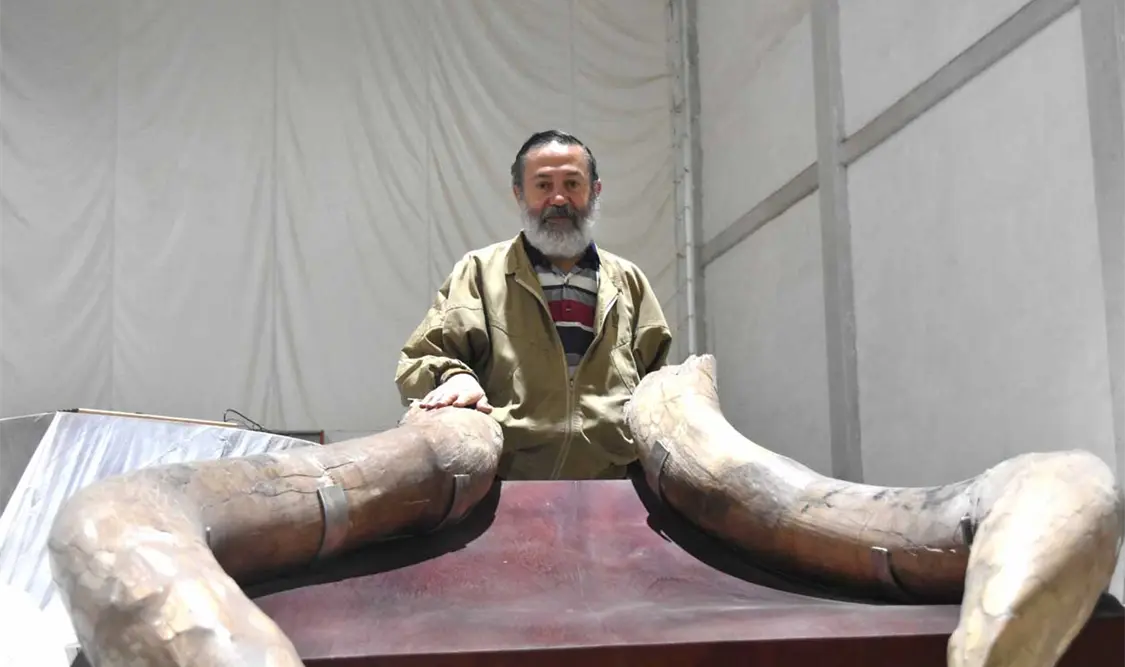 El arte de trabajar con huesos de 14 mil años