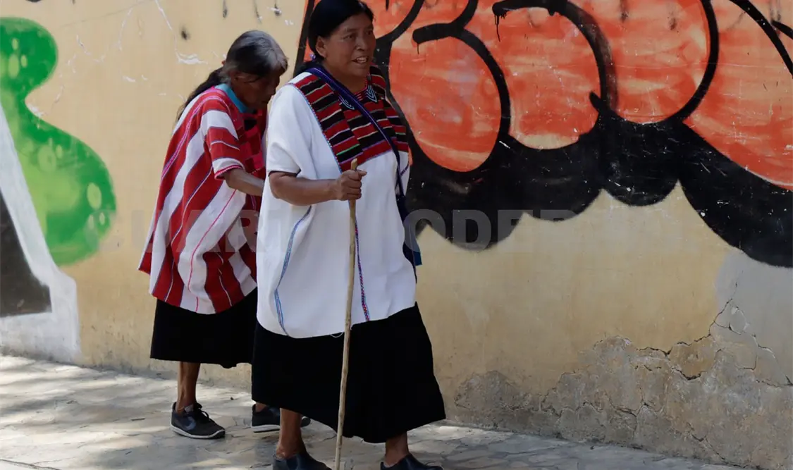 Regresa asesoría bilingüe para el nivel básico: Icheja