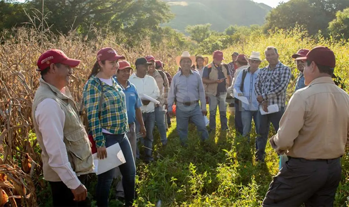 Alteración climática impactará la agricultura