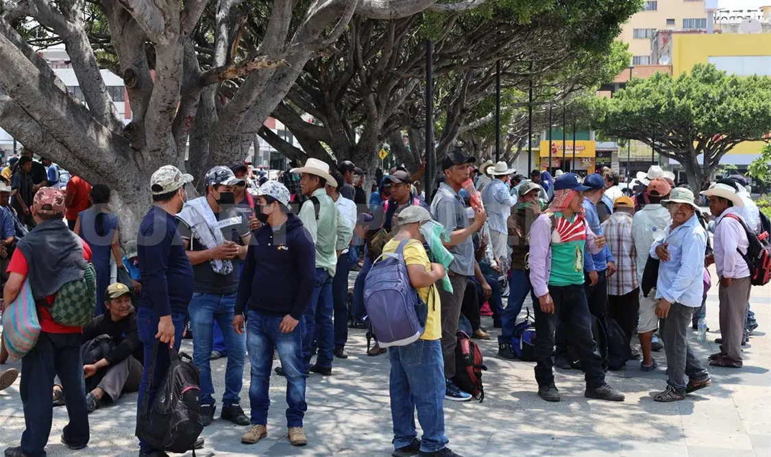 OCEZ-RC denuncia agresión a integrante en Carranza