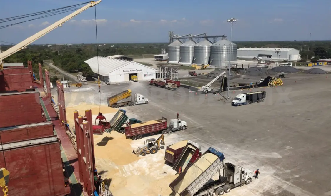 Maíz importado provoca desplome de locales