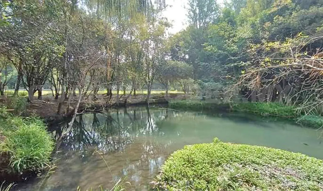 Alertan por deterioro de biodiversidad del país