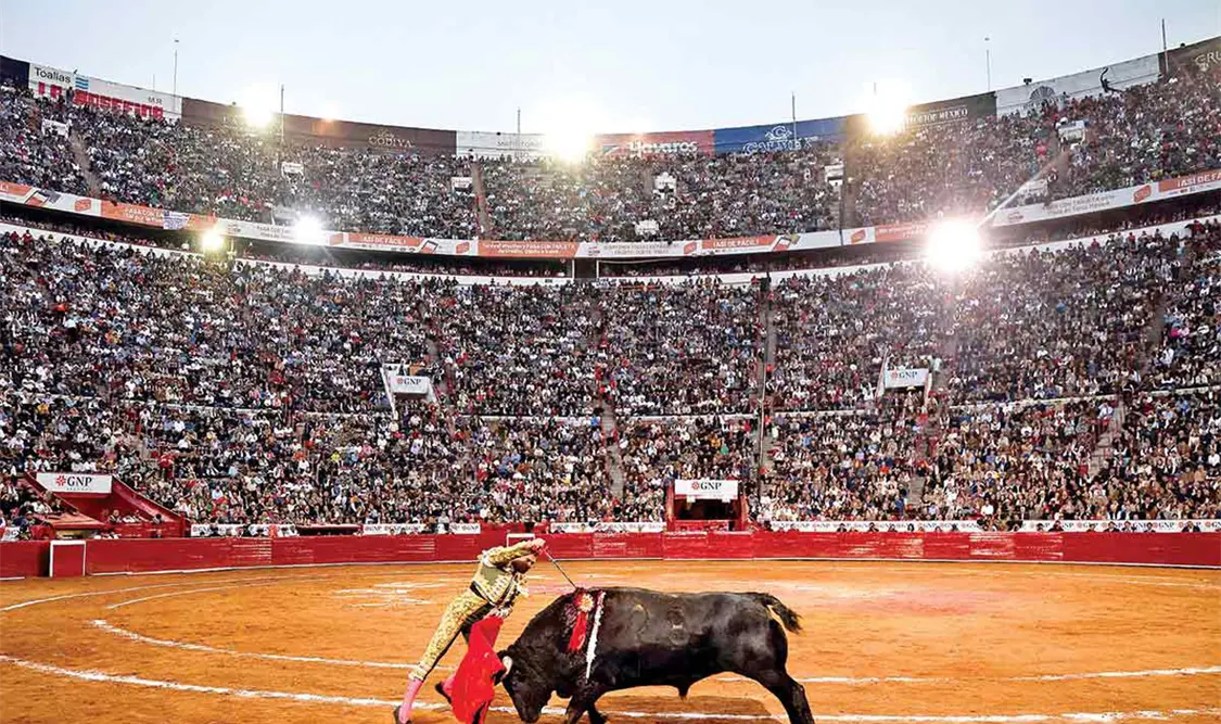Jueza ordena suspensión de corridas de toros