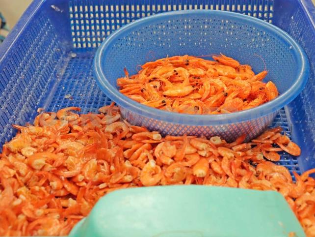 Chiapas, octavo lugar en producción de camarón