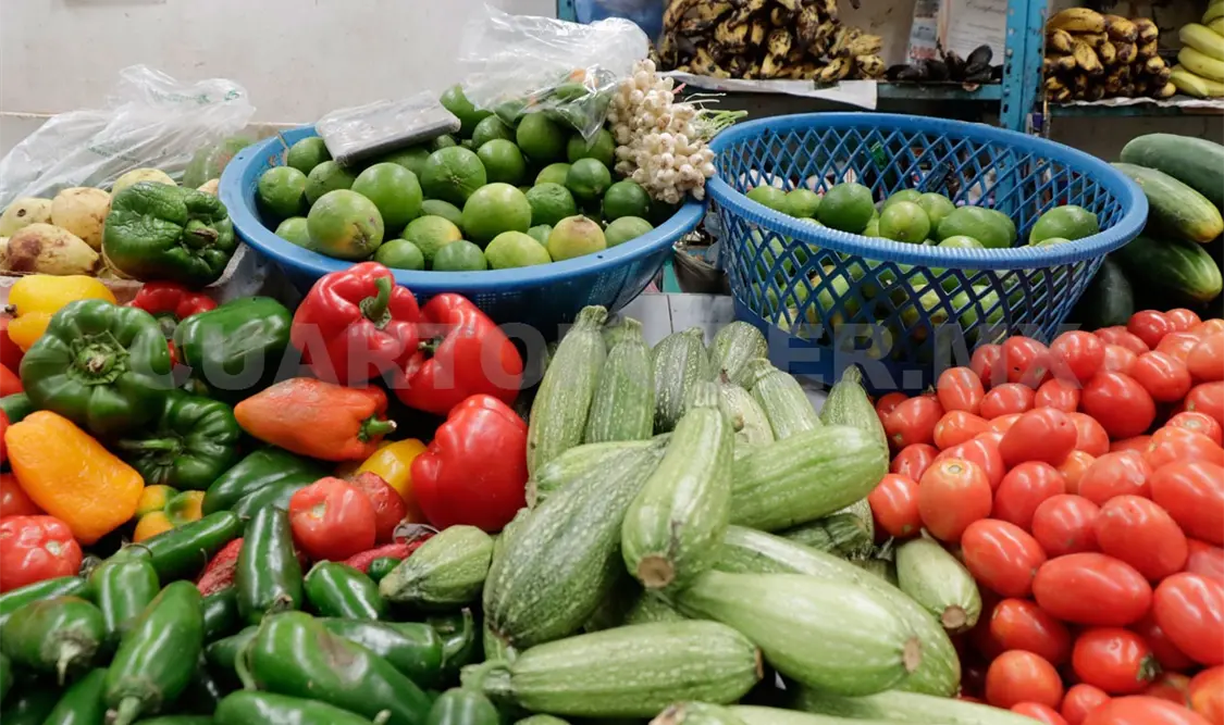 Piden aprobar la minuta de ley general de alimentación