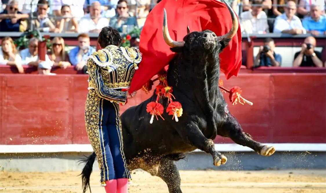 Castella triunfa en segunda corrida